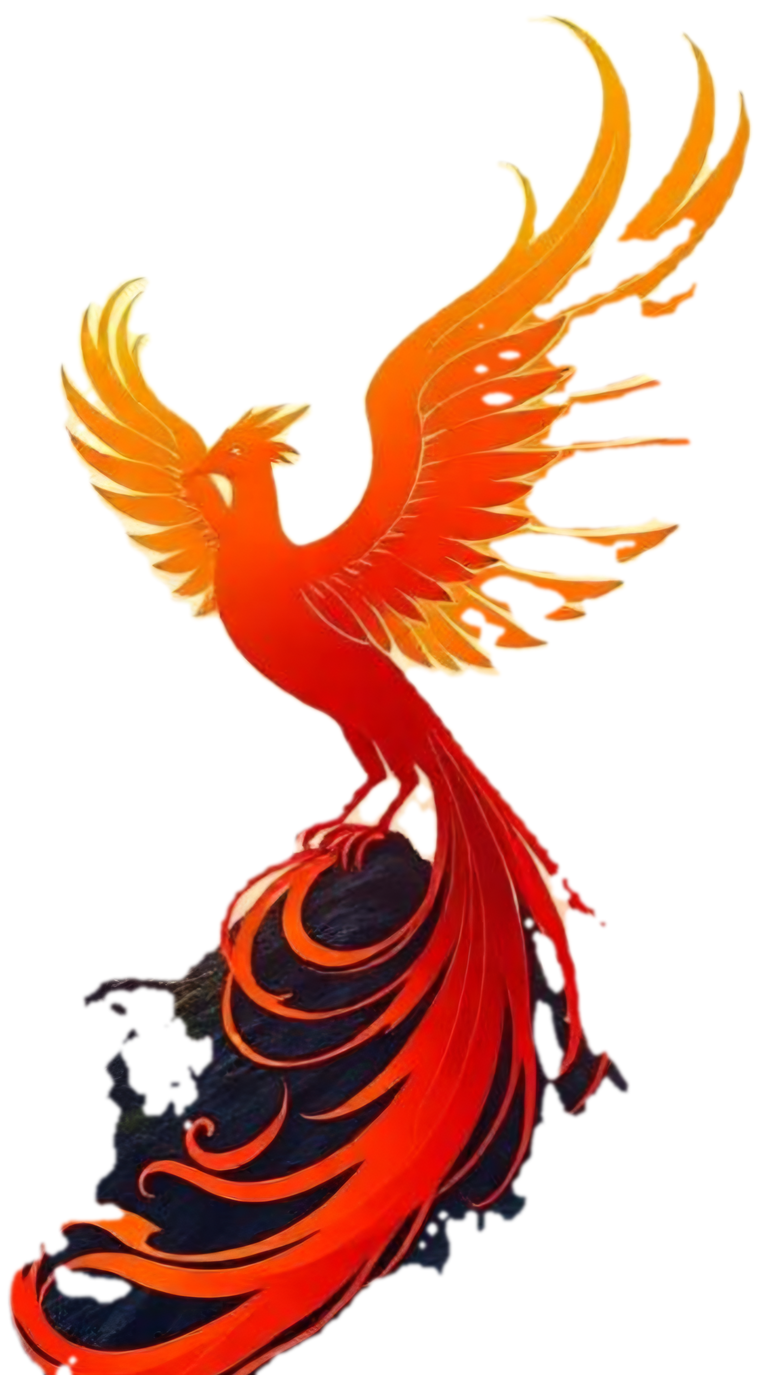 phoenixrevo